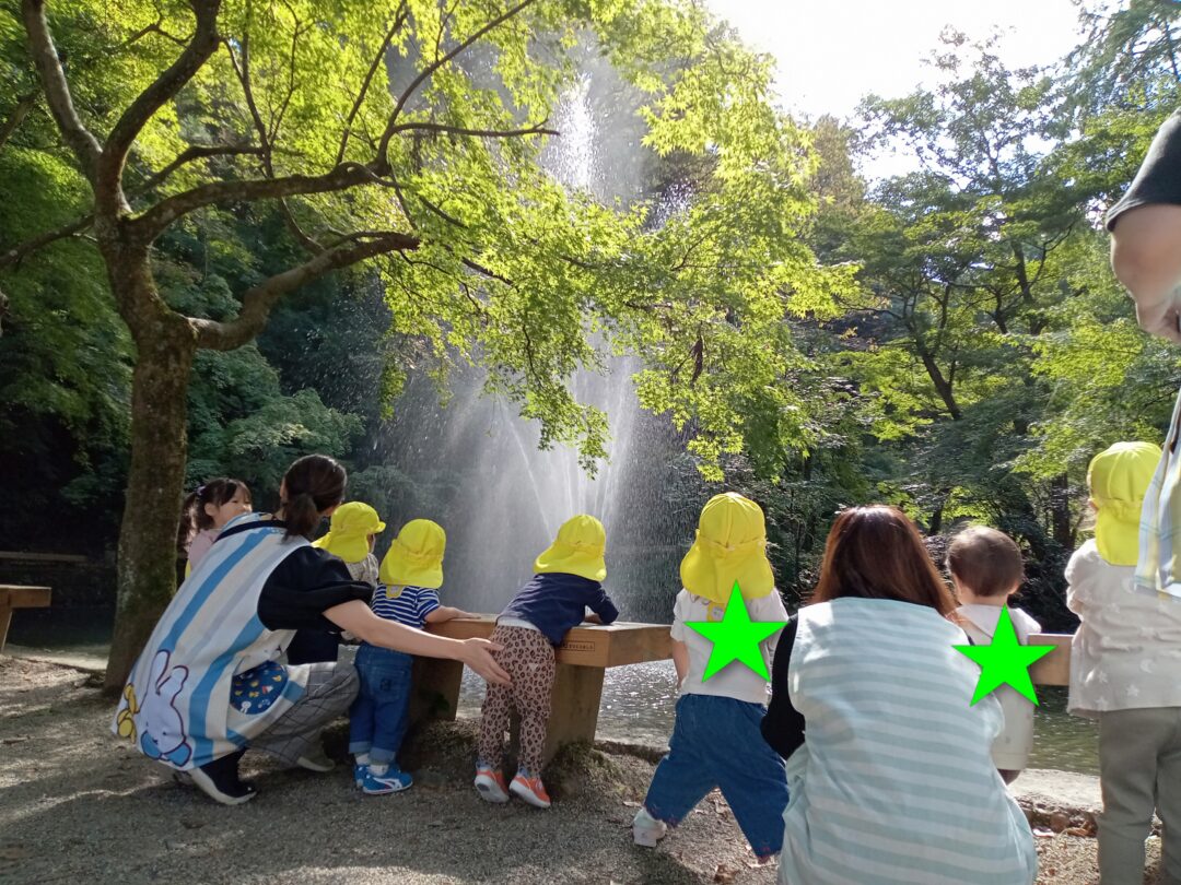 たんぽぽちゃんお散歩♫