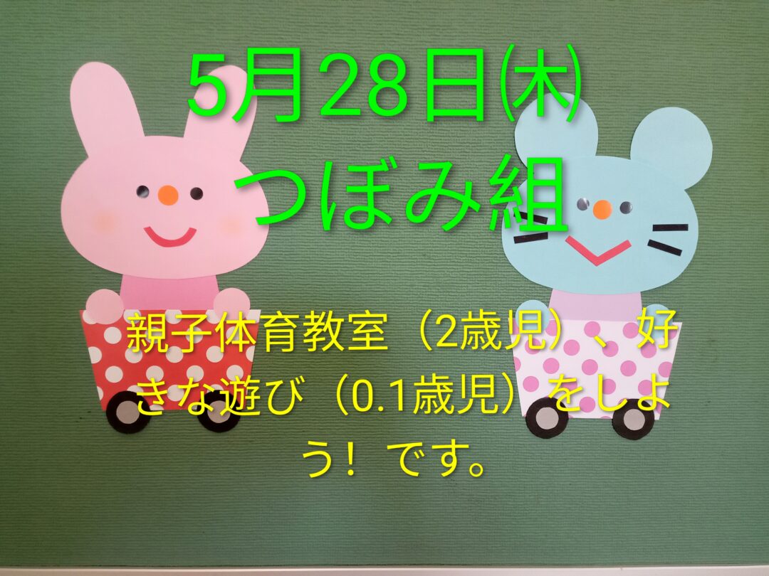 5月28日㈭つぼみ組です！
